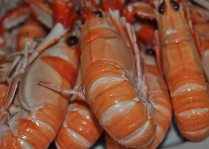 ホテル Asador De Casa Albardonedo Roxos