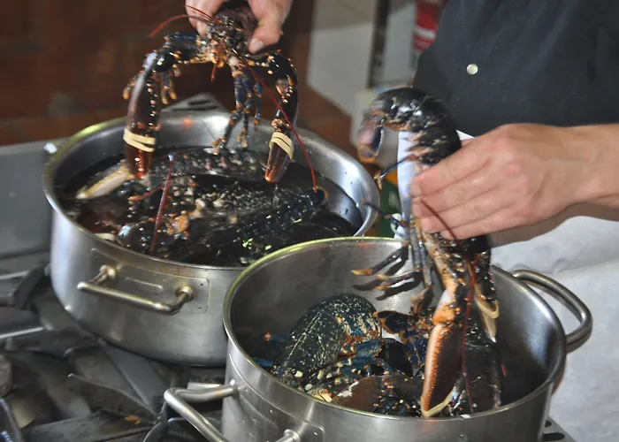 Asador De Casa Albardonedo 2* Roxos