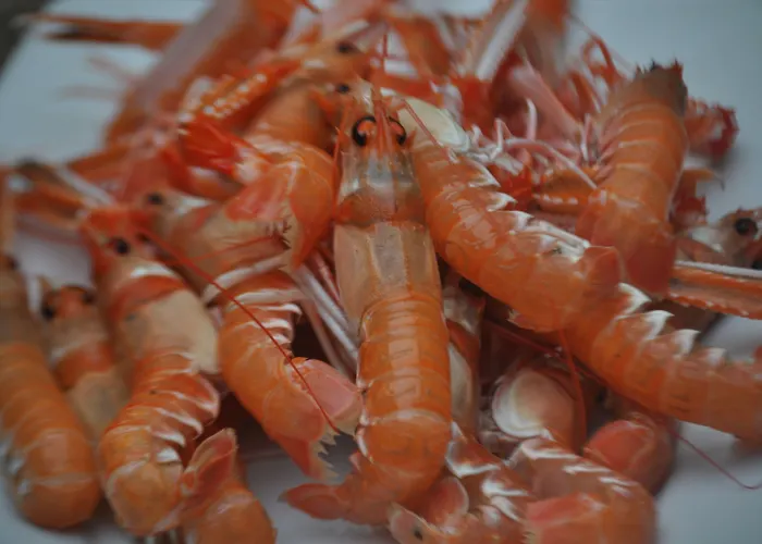 ホテル Asador De Casa Albardonedo Roxos