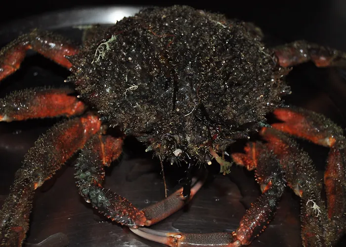 ホテル Asador De Casa Albardonedo